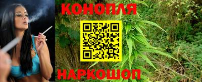 гидропоника Чапаевск